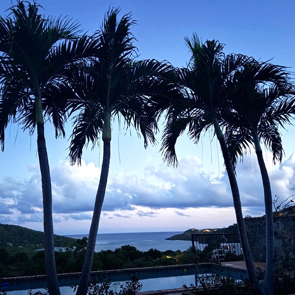 Meet your Posher, Dori - Picture 1 of 1